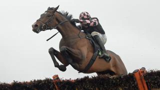 Horse jumping